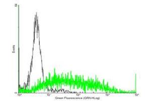 FACS analysis of negative control 293 cells (Black) and C3AR1 expressing 293 cells (Green) using C3AR1 purified MaxPab mouse polyclonal antibody.