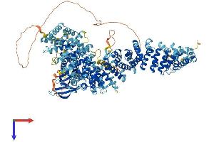 AlphaFold protein structure predicition of Human Recombinant STK36 Protein, UniprotID Q9NRP7