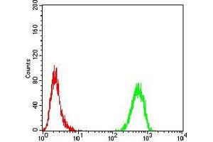 Flow cytometric analysis of MCF-7 cells using TH mouse mAb (green) and negative control (red). (TH anticorps  (AA 44-208))