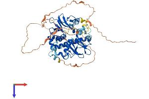 AlphaFold protein structure predicition of Mouse Recombinant Prkag3 Protein, UniprotID Q8BGM7