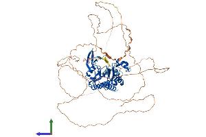 AlphaFold protein structure predicition of Human Recombinant ITPKC Protein, UniprotID Q96DU7