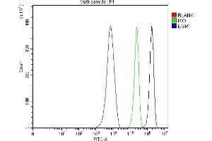 Flow Cytometry analysis of RAW264.