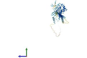 AlphaFold protein structure predicition of Mouse Recombinant Septin14 Protein, UniprotID Q9DA97