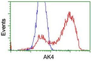 HEK293T cells transfected with either RC220572 overexpress plasmid (Red) or empty vector control plasmid (Blue) were immunostained by anti-AK4 antibody (ABIN2454577), and then analyzed by flow cytometry. (AK4 anticorps)