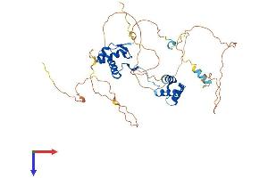 AlphaFold protein structure predicition of Mouse Recombinant Pax2 Protein, UniprotID P32114