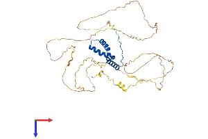 AlphaFold protein structure predicition of Human Recombinant SOX11 Protein, UniprotID P35716