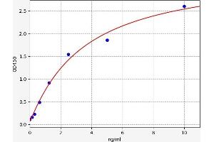 Typical standard curve (SIGLEC8 Kit ELISA)
