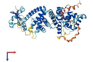 AlphaFold protein structure predicition of Human Recombinant PRIM2 Protein, UniprotID P49643