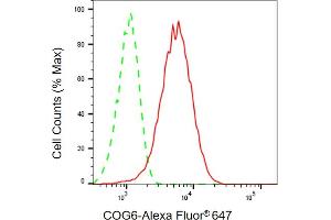 Flow cytometric analysis of COG6 expression in HepG2 cells using COG6 antibody (ABIN7798145), 1:1,000).