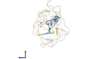 AlphaFold protein structure predicition of Human Recombinant ACIN1 Protein, UniprotID Q9UKV3