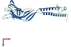 AlphaFold protein structure predicition of Mouse Recombinant Ergic1 Protein, UniprotID Q9DC16