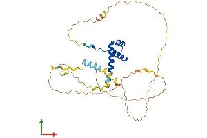 AlphaFold protein structure predicition of Mouse Recombinant Nkx2-5 Protein, UniprotID P42582