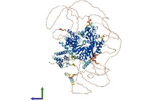 AlphaFold protein structure predicition of Mouse Recombinant Rev1 Protein, UniprotID Q920Q2