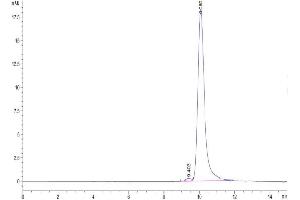 The purity of Cynomolgus IL-11 is greater than 95 % as determined by SEC-HPLC.