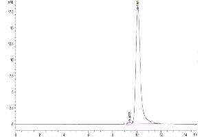 The purity of Cynomolgus IL-11 is greater than 95 % as determined by SEC-HPLC. (IL-11 Protein (AA 22-199) (His tag))