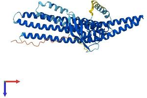 AlphaFold protein structure predicition of Human Recombinant SNX6 Protein, UniprotID Q9UNH7