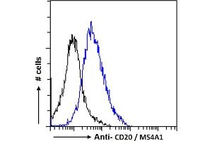 ABIN570905 Flow cytometric analysis of paraformaldehyde fixed Daudi cells (blue line), permeabilized with 0. (CD20 anticorps  (C-Term))
