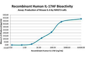 SDS-PAGE of Human Interleukin-17AF Heterodimer Recombinant Protein Bioactivity of Human Interleukin-17 Animal Free Heterodimer Recombinant Protein. (IL-17A/F Protéine)