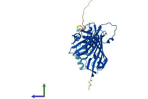 AlphaFold protein structure predicition of Mouse Recombinant Acot8 Protein, UniprotID P58137