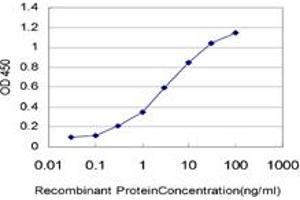 Detection limit for recombinant GST tagged AHR is approximately 0.