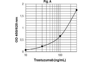 ELISA image for Trastuzumab ELISA Kit (ABIN2862652) (Trastuzumab Kit ELISA)