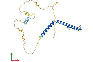 AlphaFold protein structure predicition of Human Recombinant AURKAIP1 Protein, UniprotID Q9NWT8