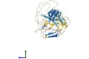 AlphaFold protein structure predicition of Human Recombinant SMARCA2 Protein, UniprotID P51531