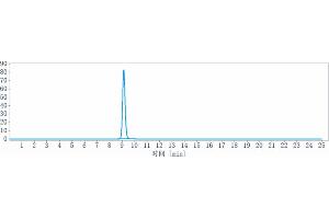 The purity of Anti-STAB1 Reference Antibody (bexmarilimab) is 100 % , determined by SEC-HPLC.