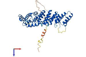 AlphaFold protein structure predicition of Mouse Recombinant Ptcd2 Protein, UniprotID Q8R3K3