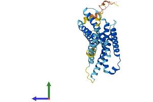 AlphaFold protein structure predicition of Human Recombinant MRGPRX2 Protein, UniprotID Q96LB1