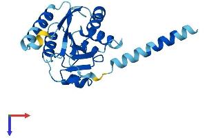 AlphaFold protein structure predicition of Human Recombinant ALG14 Protein, UniprotID Q96F25