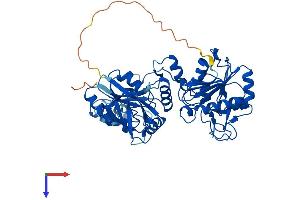 AlphaFold protein structure predicition of Mouse Recombinant Pnkp Protein, UniprotID Q9JLV6