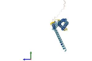 AlphaFold protein structure predicition of Human Recombinant ORAI2 Protein, UniprotID Q96SN7