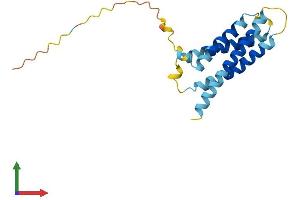 AlphaFold protein structure predicition of Mouse Recombinant Cmtm8 Protein, UniprotID Q9CZR4
