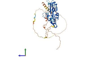 AlphaFold protein structure predicition of Human Recombinant TBX1 Protein, UniprotID O43435