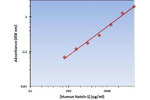 This is an example of what a typical standard curve will look like. (Notch1 Kit ELISA)