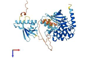 AlphaFold protein structure predicition of Mouse Recombinant Map2k5 Protein, UniprotID Q9WVS7
