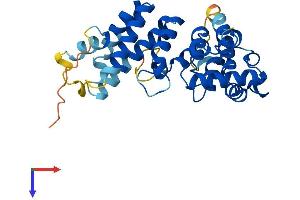 AlphaFold protein structure predicition of Human Recombinant ASB17 Protein, UniprotID Q8WXJ9