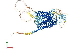 AlphaFold protein structure predicition of Human Recombinant SLCO2B1 Protein, UniprotID O94956