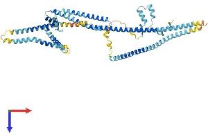 AlphaFold protein structure predicition of Mouse Recombinant Ccdc148 Protein, UniprotID Q6P5U8