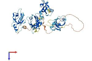 AlphaFold protein structure predicition of Mouse Recombinant Pdzk1 Protein, UniprotID Q9JIL4