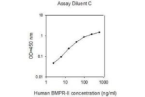 ELISA image for Bone Morphogenetic Protein Receptor, Type II (serine/threonine Kinase) (BMPR2) ELISA Kit (ABIN4881982) (BMPR2 Kit ELISA)
