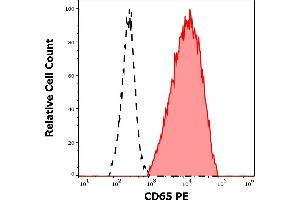 Separation of human neutrophil granulocytes (red-filled) from lymphocytes (black-dashed) in flow cytometry analysis (surface staining) of peripheral whole blood stained using anti-human CD65 (VIM8) PE antibody (10 μL reagent / 100 μL of peripheral whole blood). (CD65 anticorps (PE))