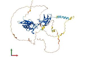 AlphaFold protein structure predicition of Human Recombinant RELA Protein, UniprotID Q04206