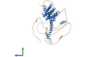 AlphaFold protein structure predicition of Mouse Recombinant Stam2 Protein, UniprotID O88811