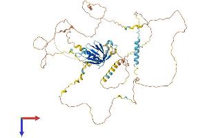 AlphaFold protein structure predicition of Mouse Recombinant Gab3 Protein, UniprotID Q8BSM5