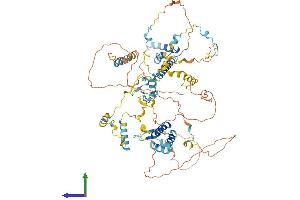 AlphaFold protein structure predicition of Mouse Recombinant Ncaph Protein, UniprotID Q8C156