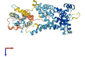 AlphaFold protein structure predicition of Mouse Recombinant Slc25a25 Protein, UniprotID A2ASZ8