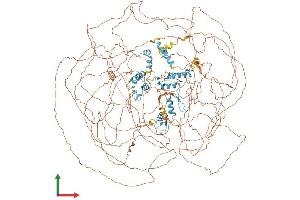 AlphaFold protein structure predicition of Human Recombinant GLI3 Protein, UniprotID P10071