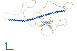 AlphaFold protein structure predicition of Mouse Recombinant Snph Protein, UniprotID Q80U23